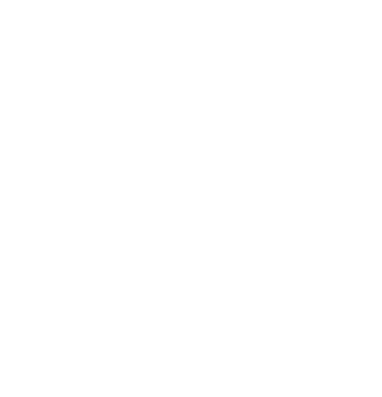 Качество движения Качество жизни